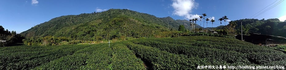 P_20141102_085941_PN