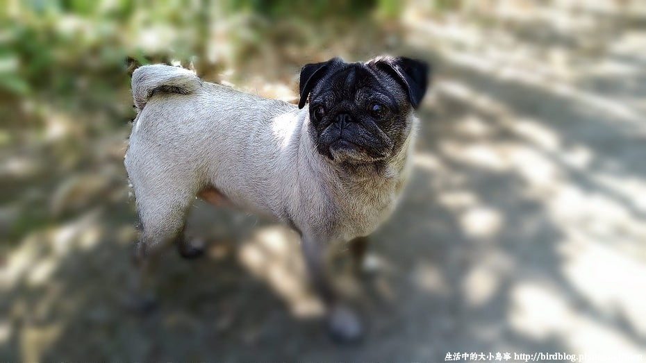 P_20141102_095452_DF