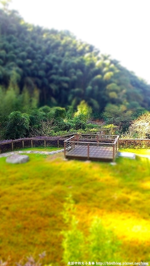 P_20141102_090443_MT