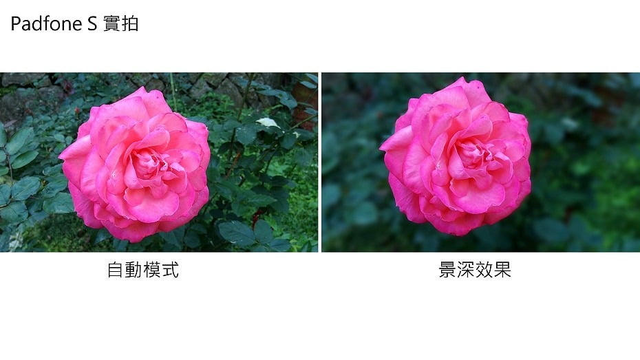 P_20141102_091656_DF