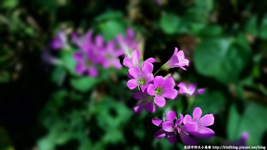 P_20141102_095359_DF