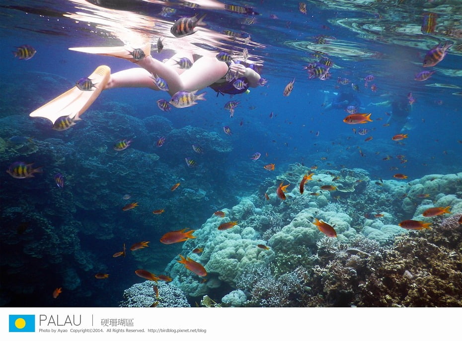 14223998131_2f01f9ffaa_o