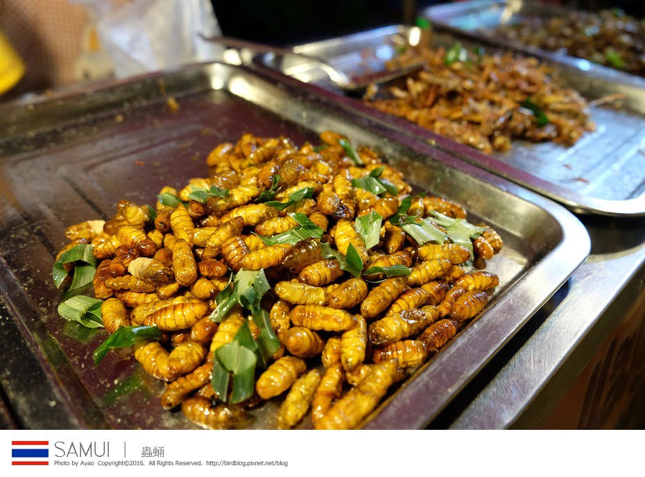 25485295135_69affc48e6_b