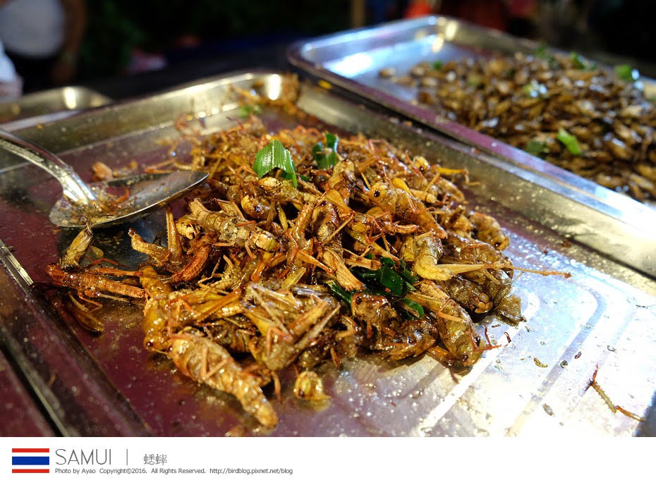 25459168306_5da6c93577_b