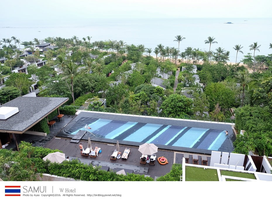 25117833209_ab730993b5_b