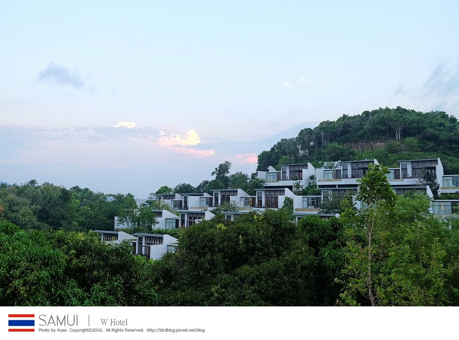 25189788460_2c095ab0bf_b