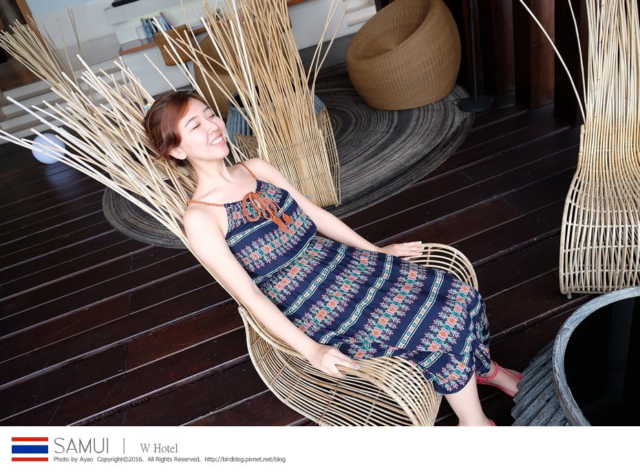 25366903752_728178e9cf_b