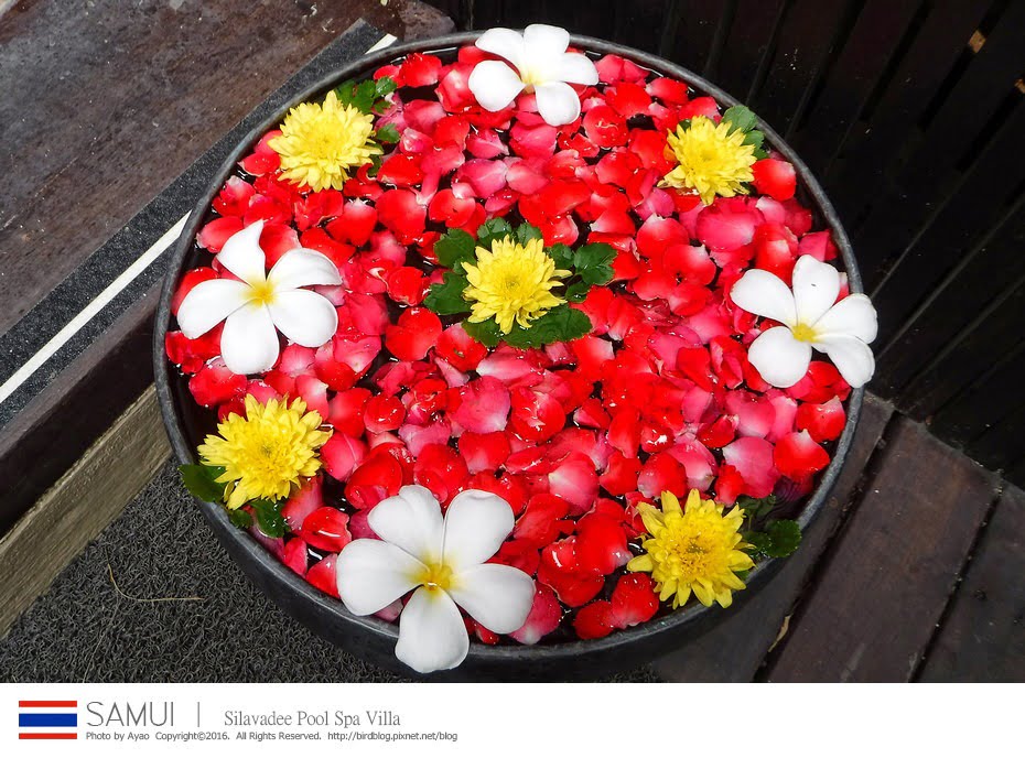 24854797304_f4d2c05a15_b