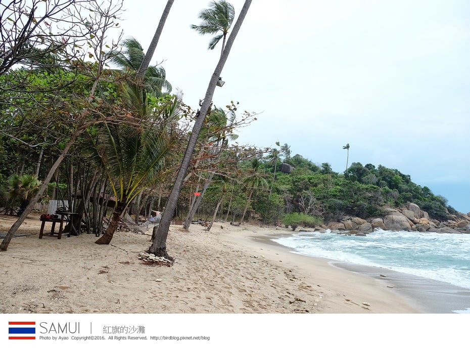 24854814294_bc38140785_b