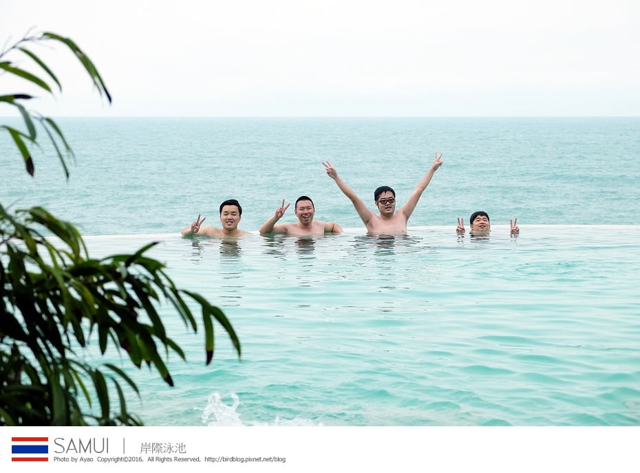 24858660523_806165c487_b