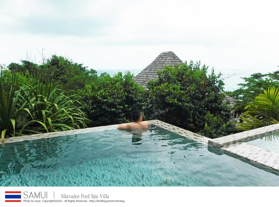 25117808929_703b8975d6_b