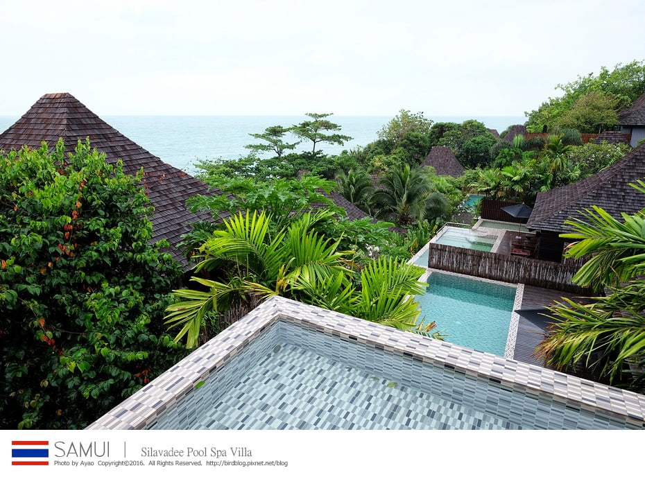 25117824129_9d53340eec_b