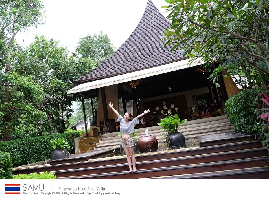 25117825149_2aaa1ccf1b_b