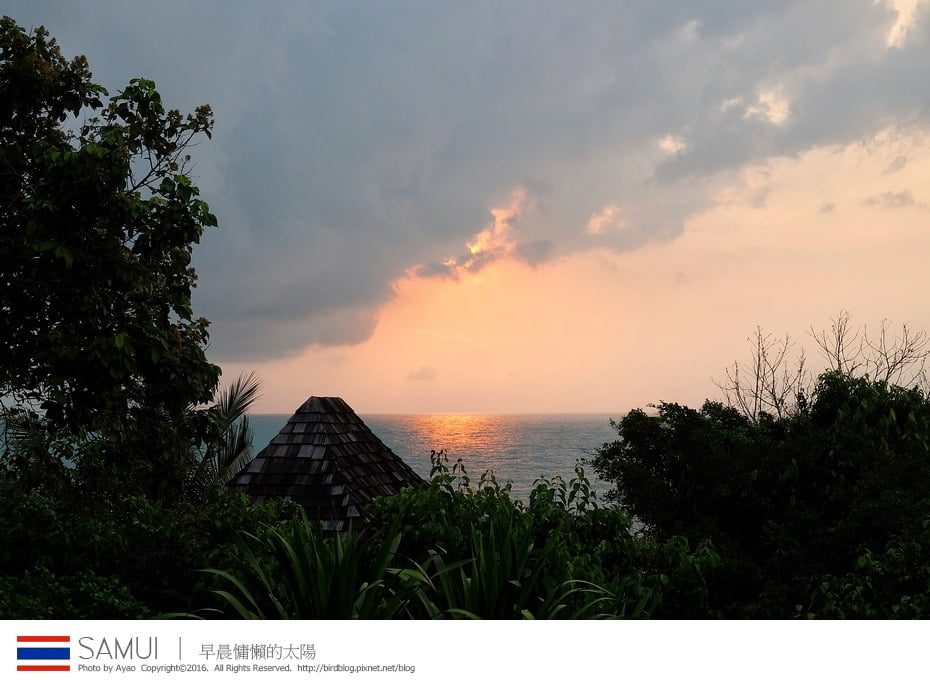 25189765940_ae764339fc_b