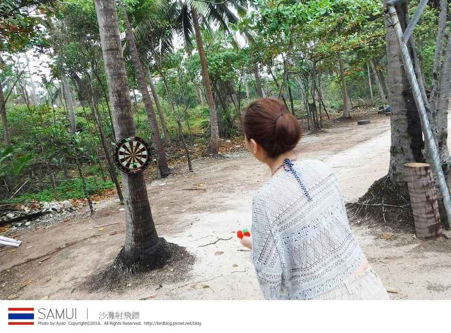 25366924682_9a5747a1c6_b