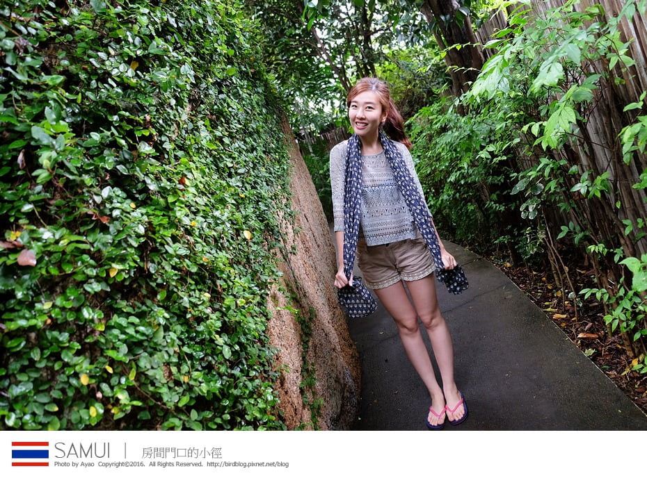 25392528951_e8156d34b0_b