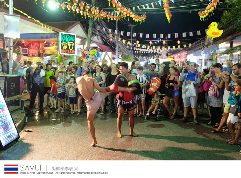 24858647803_d3bab6f55a_b