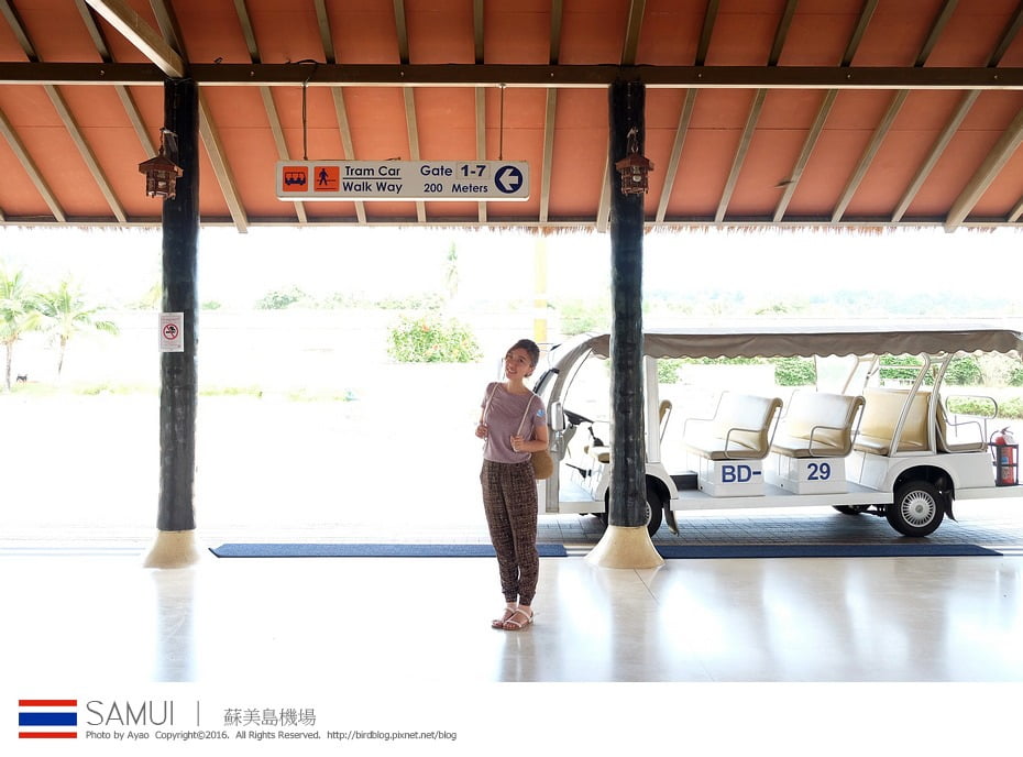 25459222466_9d06d633c6_b