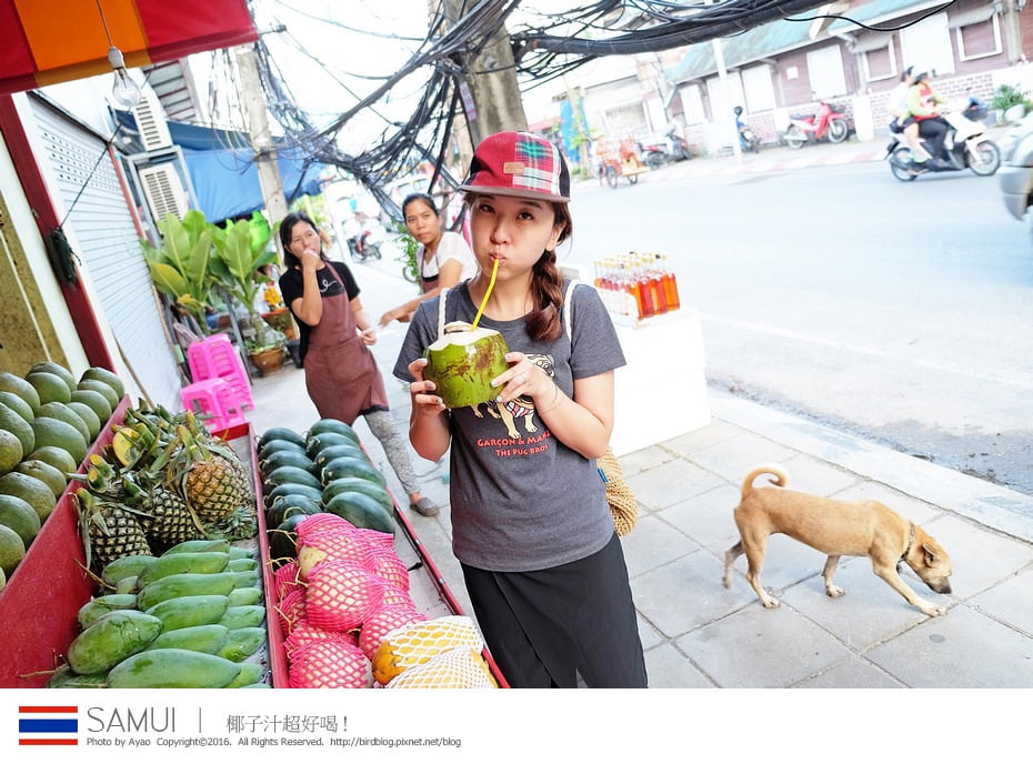 25366870452_81192b2353_b