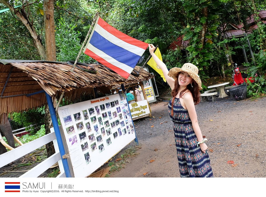 25485381055_4754a63520_b