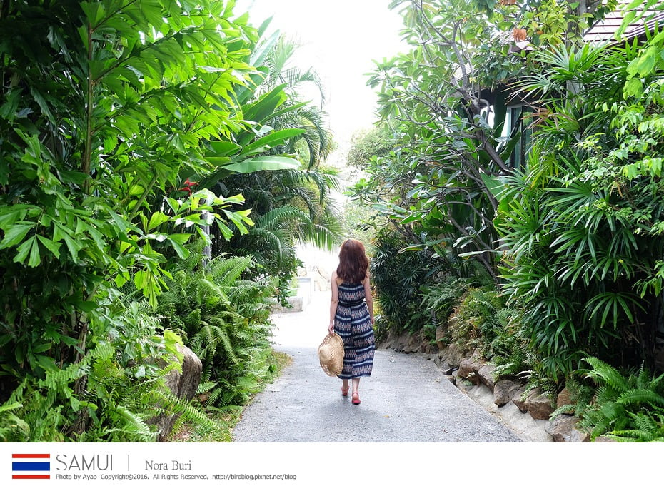 24858687633_cfa9b976b1_b