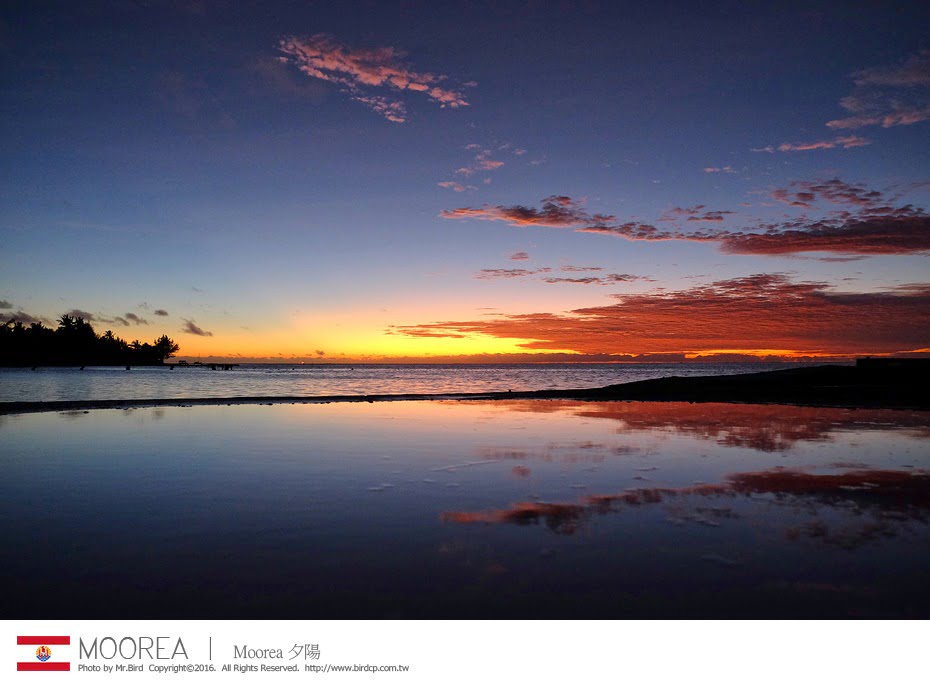 28039432915_594d679bf6_b