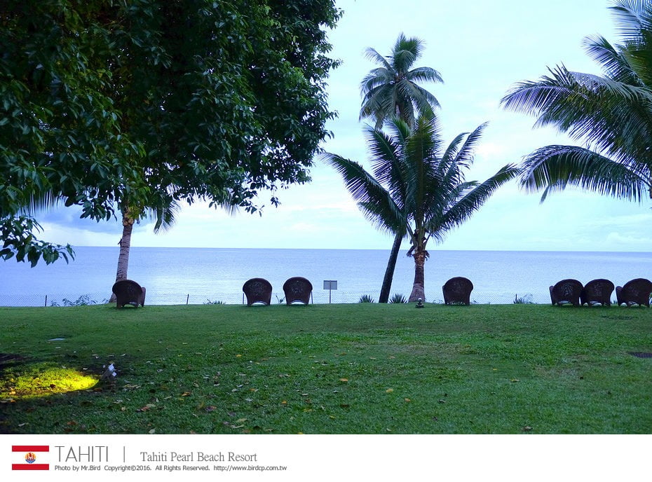 28004614996_28f0bb6fd3_b