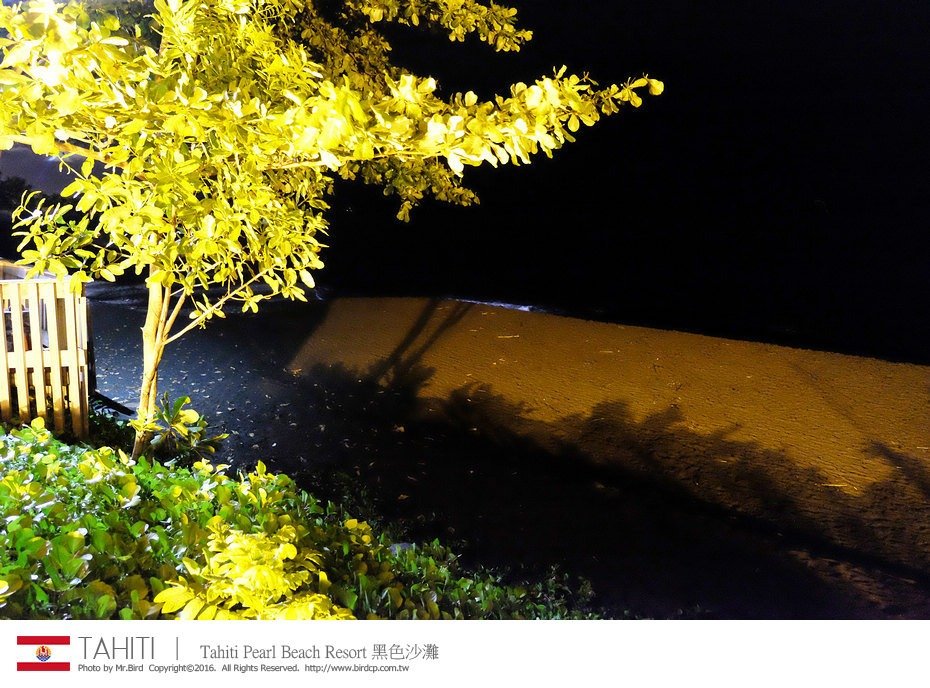 28039295725_64e45fae4b_b