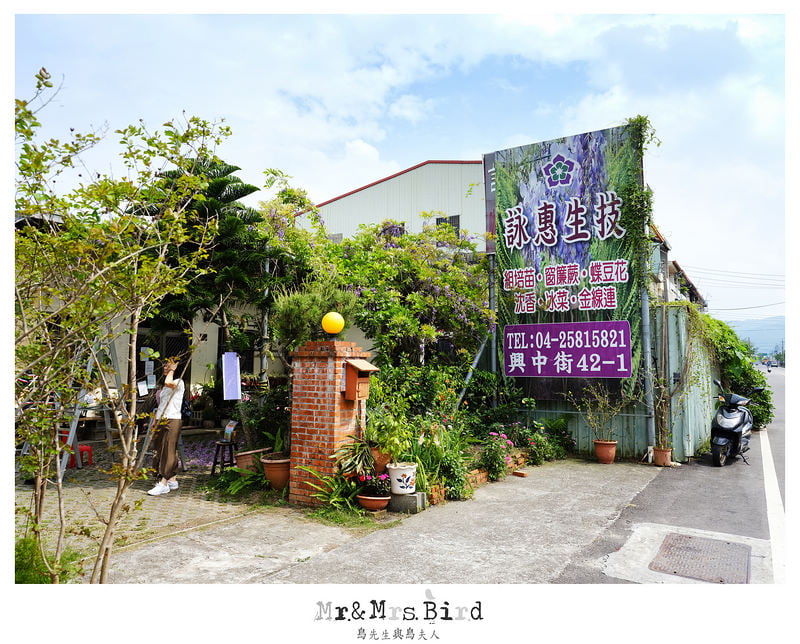 2017 04 19 164458 【都市賞花】台中新社.夢幻紫藤花地毯