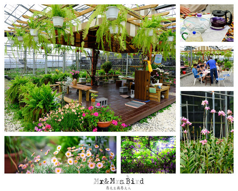 2017 04 19 164535 【都市賞花】台中新社.夢幻紫藤花地毯