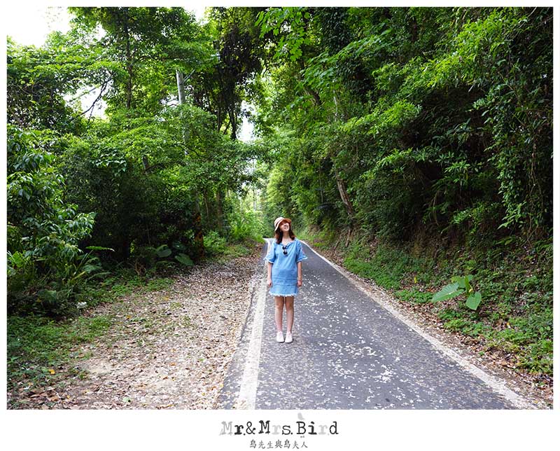 2017 05 11 115053 苗栗三義輕旅行。2017油桐花五月雪盛開-勝興車站 & 龍騰斷橋