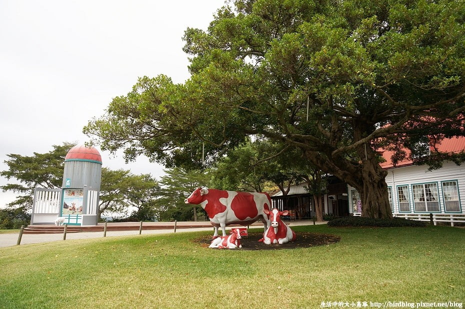 DSC05990