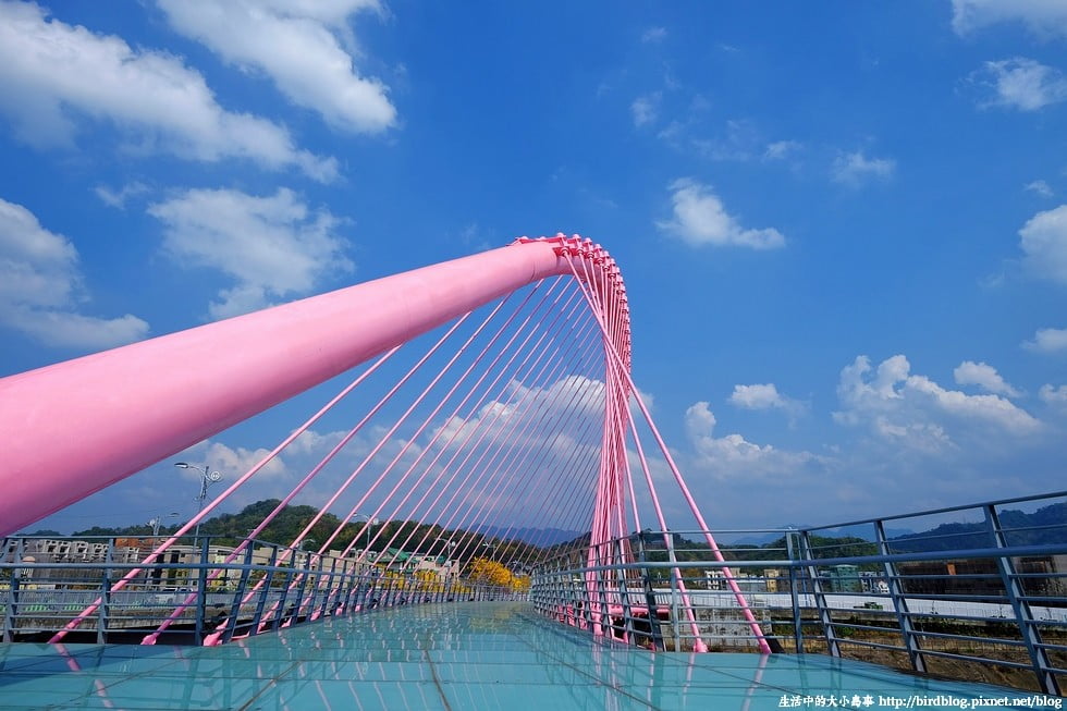 都市賞花 台中最美街景 黃花風鈴木大爆炸 景賢路 廍子公園 鳥先生 鳥夫人