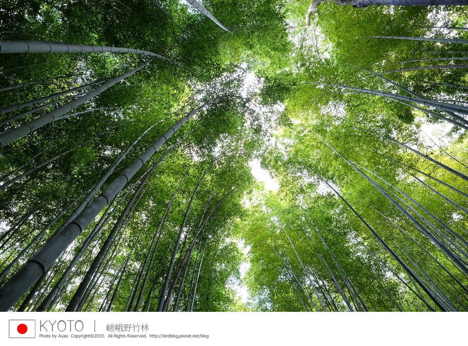 23140138295_efcd6c10b0_b