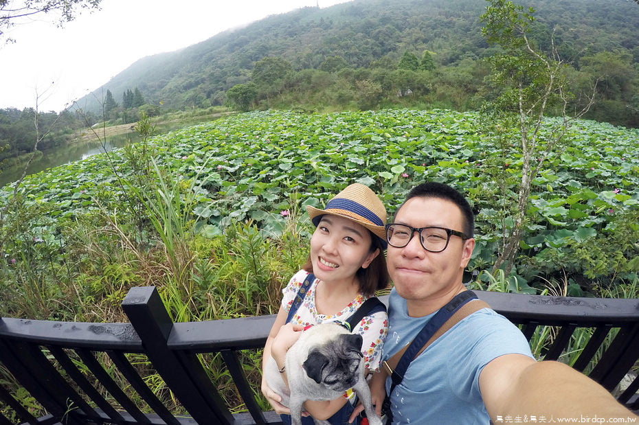 DCIM100GOPROGOPR2921.