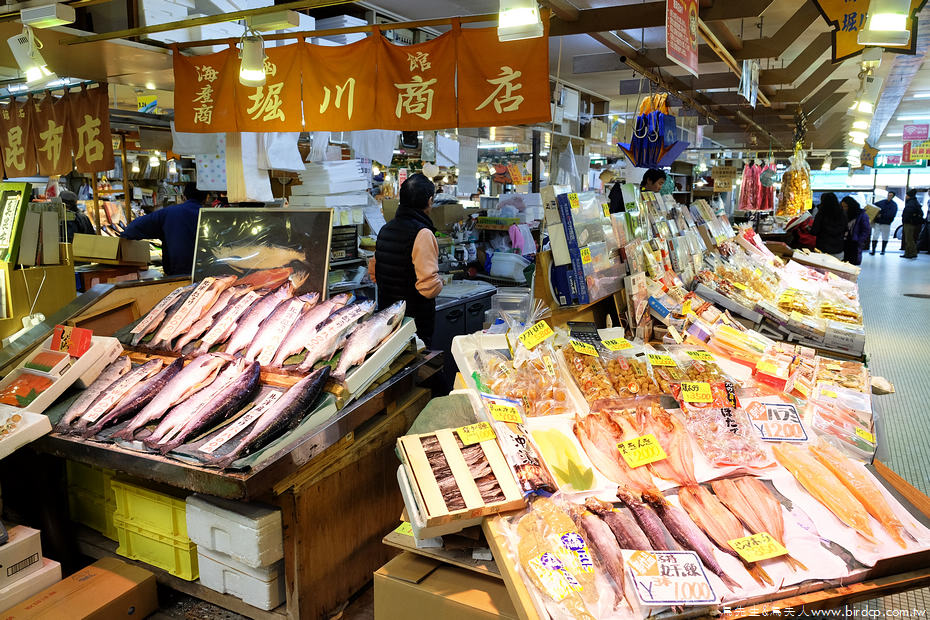 日本北海道自駕 函館朝市 駅二市場吃海鮮 釣烏賊 秘密店家 鳥先生 鳥夫人