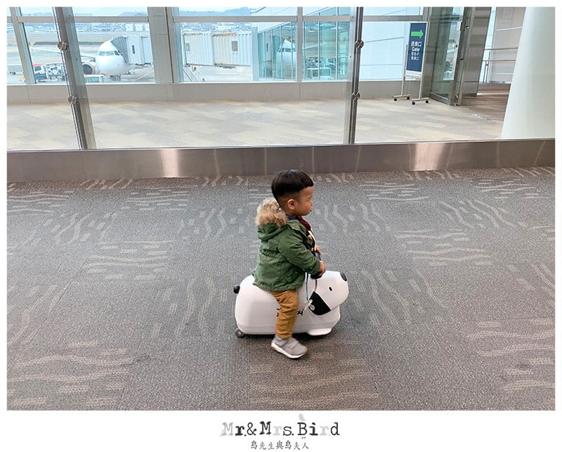 2019 04 08 172208 日本九州自駕親子旅遊。九州原來這麼好玩?!最適合"親子行程"大公開