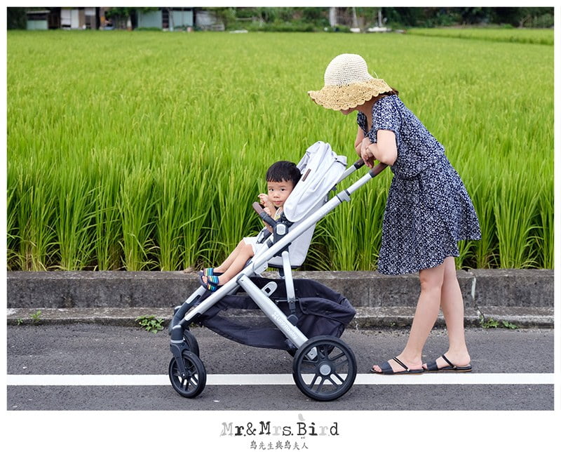 2019 06 10 165330 歐美好萊塢明星御用夢幻推車。美國 UPPAbaby VISTA-大寶+二寶(最多到三寶)適用