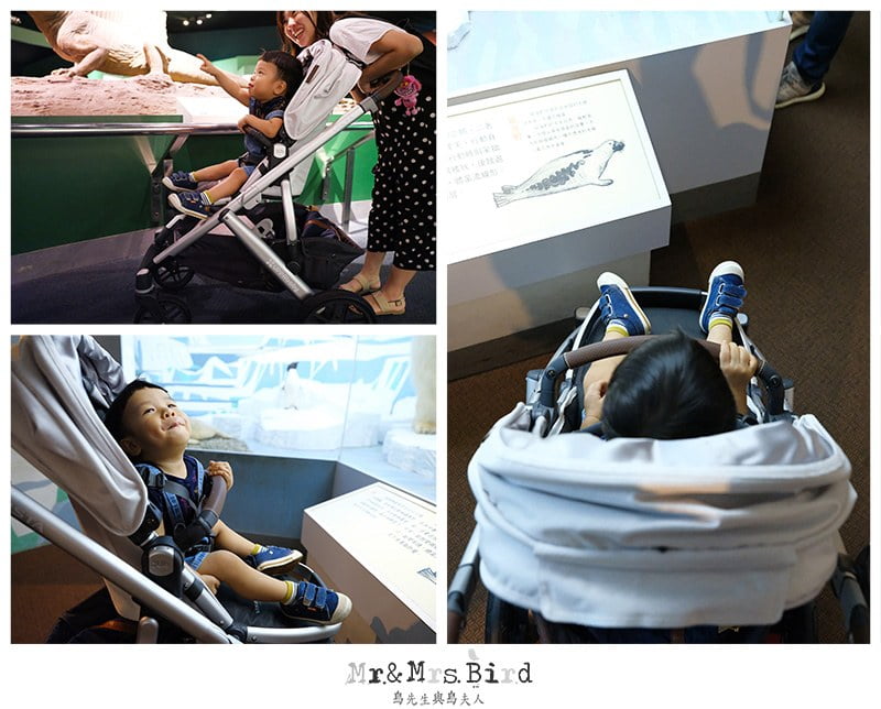 2019 06 11 111135 歐美好萊塢明星御用夢幻推車。美國 UPPAbaby VISTA-大寶+二寶(最多到三寶)適用