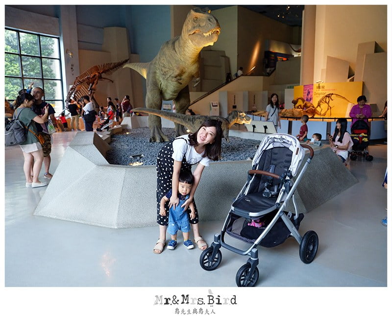 2019 06 11 111140 歐美好萊塢明星御用夢幻推車。美國 UPPAbaby VISTA-大寶+二寶(最多到三寶)適用