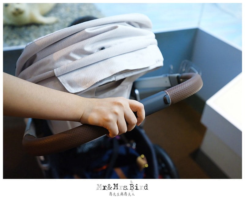 2019 06 11 111145 歐美好萊塢明星御用夢幻推車。美國 UPPAbaby VISTA-大寶+二寶(最多到三寶)適用