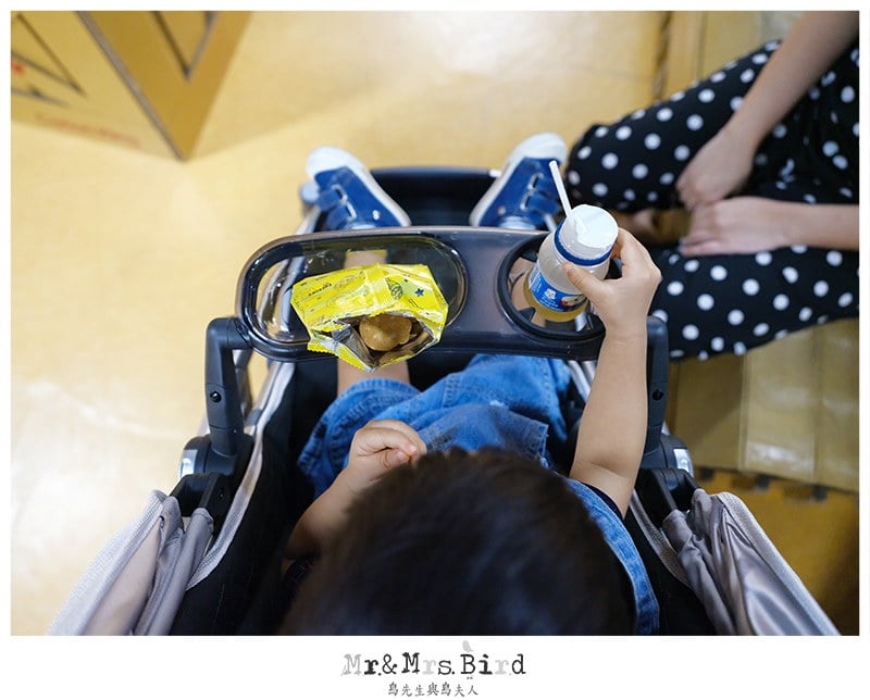 2019 06 11 111155 歐美好萊塢明星御用夢幻推車。美國 UPPAbaby VISTA-大寶+二寶(最多到三寶)適用