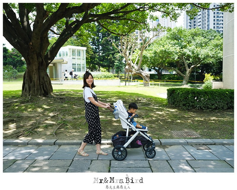 2019 06 11 111226 歐美好萊塢明星御用夢幻推車。美國 UPPAbaby VISTA-大寶+二寶(最多到三寶)適用