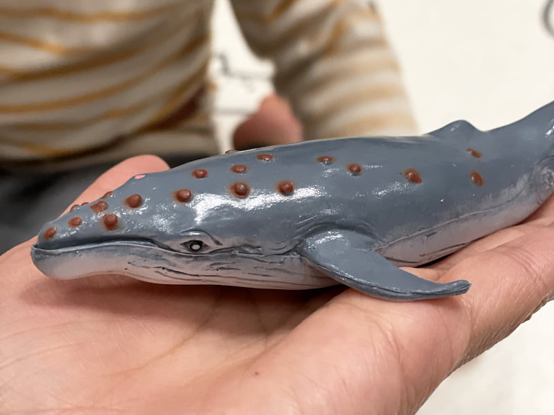 2023 02 10 162021 寓教於樂的玩具首選。鳥寶寶從小玩到大的:西班牙 Miniland 2023新品-音樂律動、邏輯思考、情緒引導、語言培養