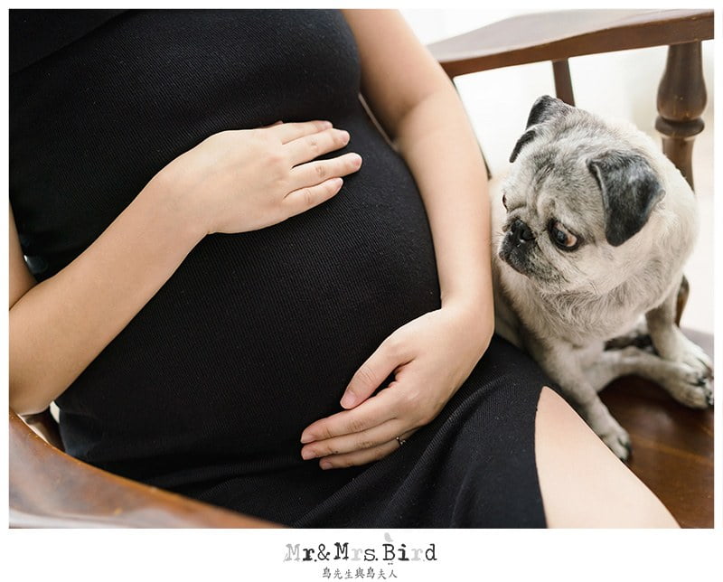 懷孕最美的時刻一定要拍全家福記錄下來 孕婦寫真