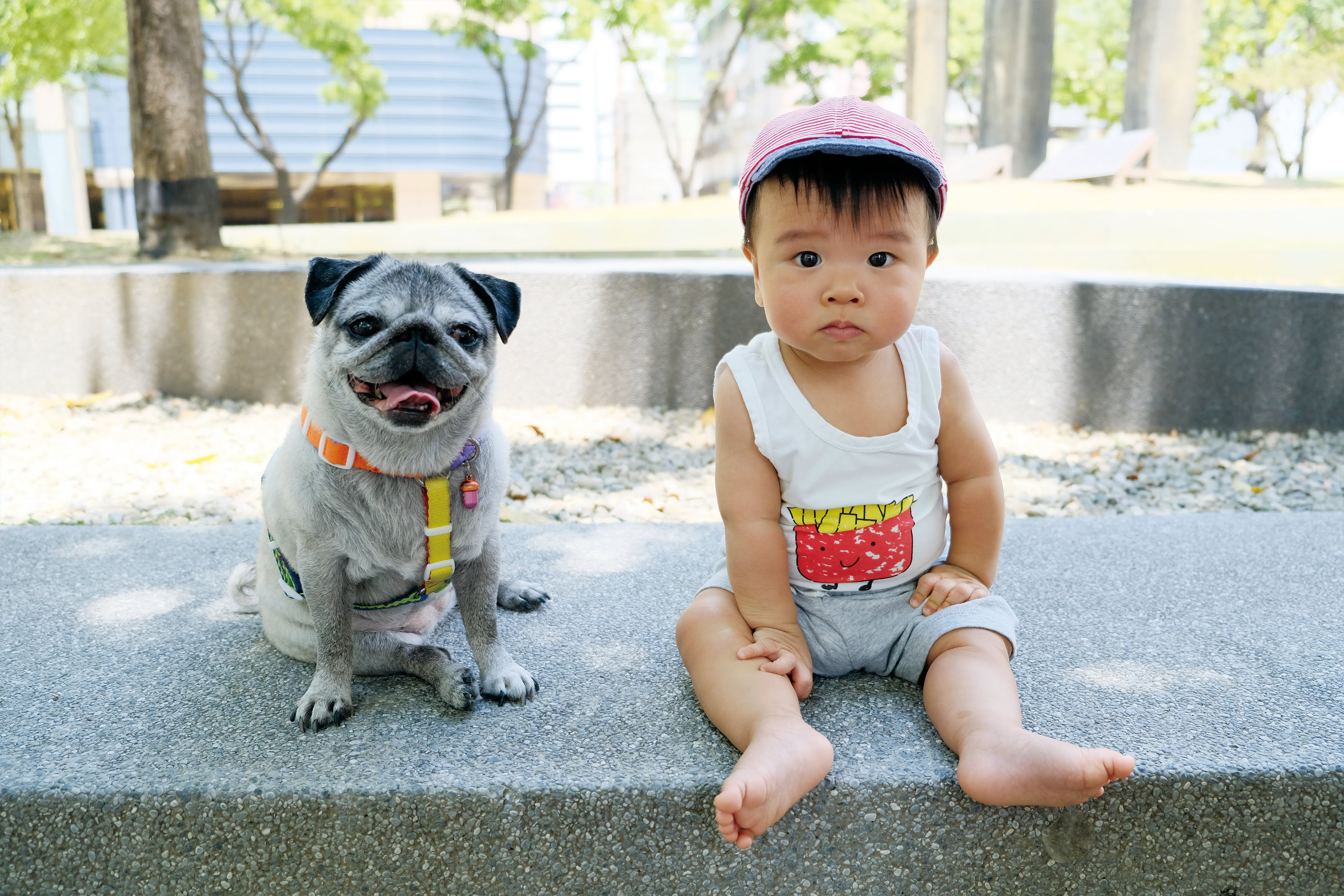 2019 10 08 131249 最有感覺的居家布置。鳥先生攝影師隨時在家開個展-NuPhoto拍立洗APP無框畫