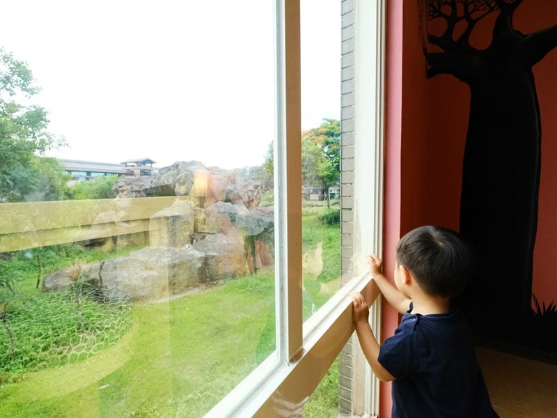 2020 09 09 112925 親子環島旅行Day1。跟動物一起住一晚-新竹關西六福莊生態度假旅館 & 六福村(文中有限時訂房優惠)