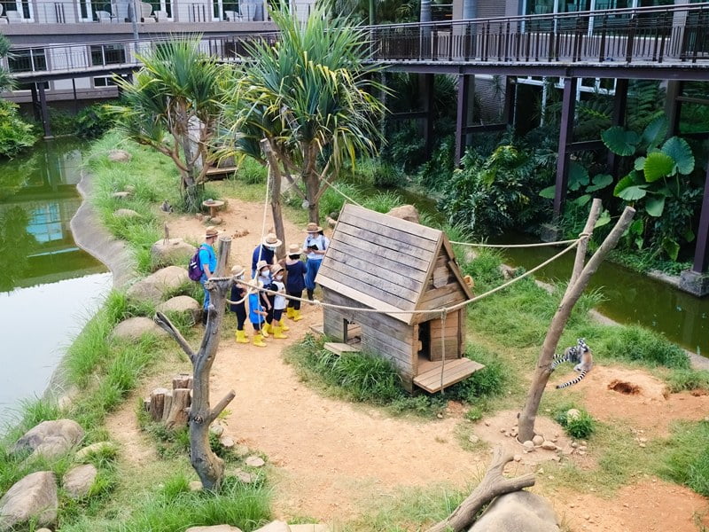 2020 09 09 112937 親子環島旅行Day1。跟動物一起住一晚-新竹關西六福莊生態度假旅館 & 六福村(文中有限時訂房優惠)