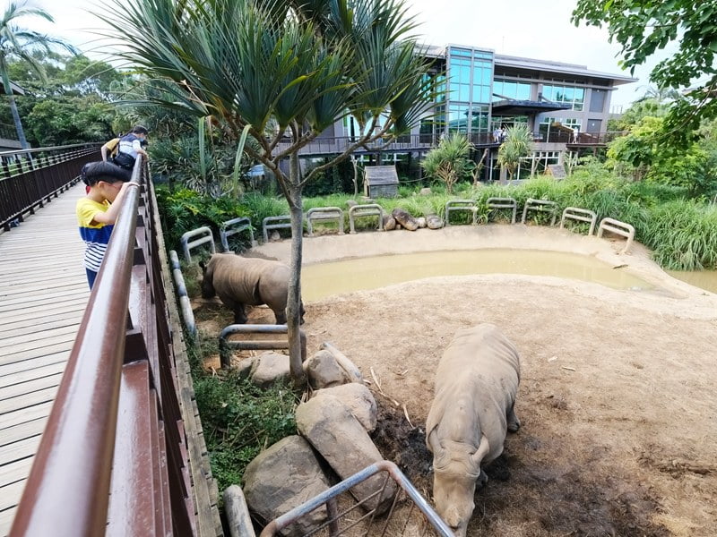 2020 09 09 112952 親子環島旅行Day1。跟動物一起住一晚-新竹關西六福莊生態度假旅館 & 六福村(文中有限時訂房優惠)