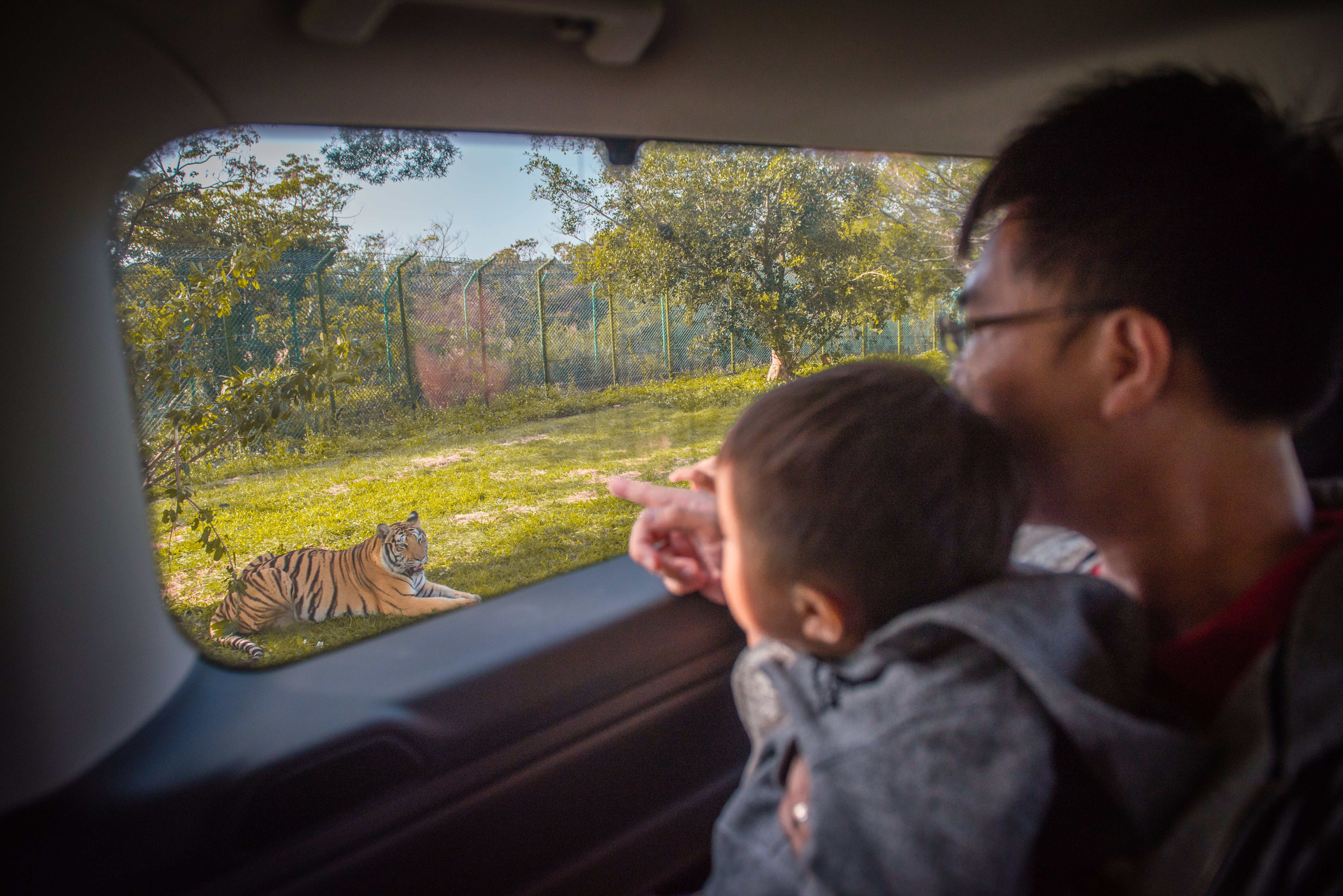 2020 09 09 113058 親子環島旅行Day1。跟動物一起住一晚-新竹關西六福莊生態度假旅館 & 六福村(文中有限時訂房優惠)